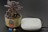 Kit EcoDuino para Riego Automático de Plantas